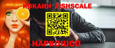 крисы Севастополь