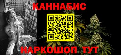 крисы Севастополь