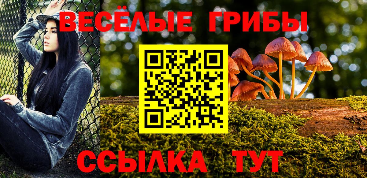 Галлюциногенные грибы GOLDEN TEACHER Новодвинск