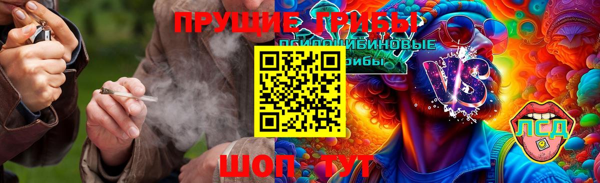Галлюциногенные грибы Magic Shrooms  Вход с VPN  Новодвинск  Галлюциногенные грибы мухоморы 