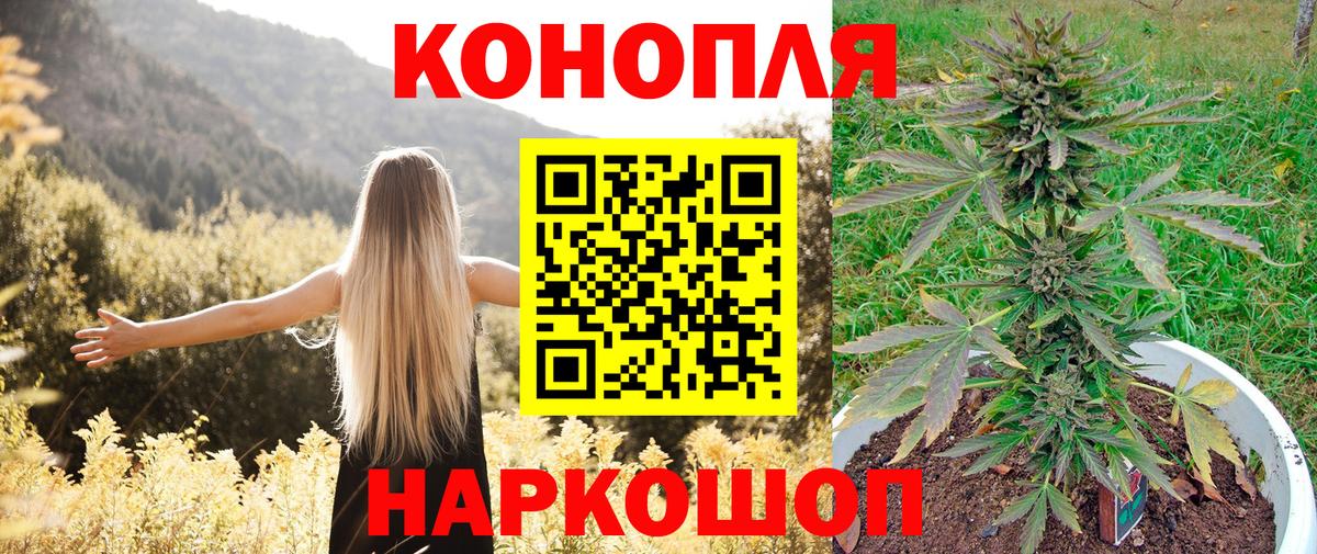 Канабис SATIVA & INDICA Новодвинск